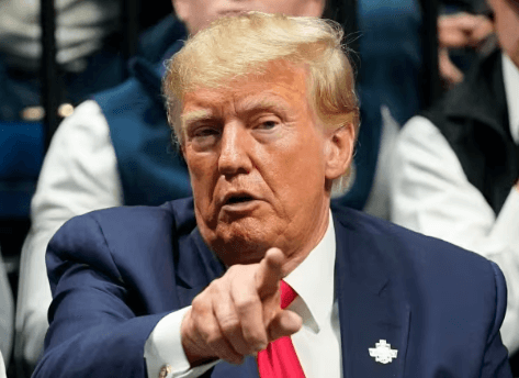   Donald Trump AI Voice 