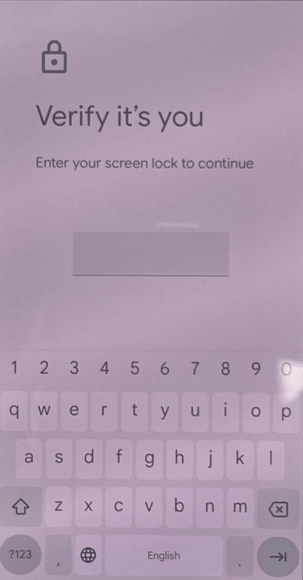 verify it's you