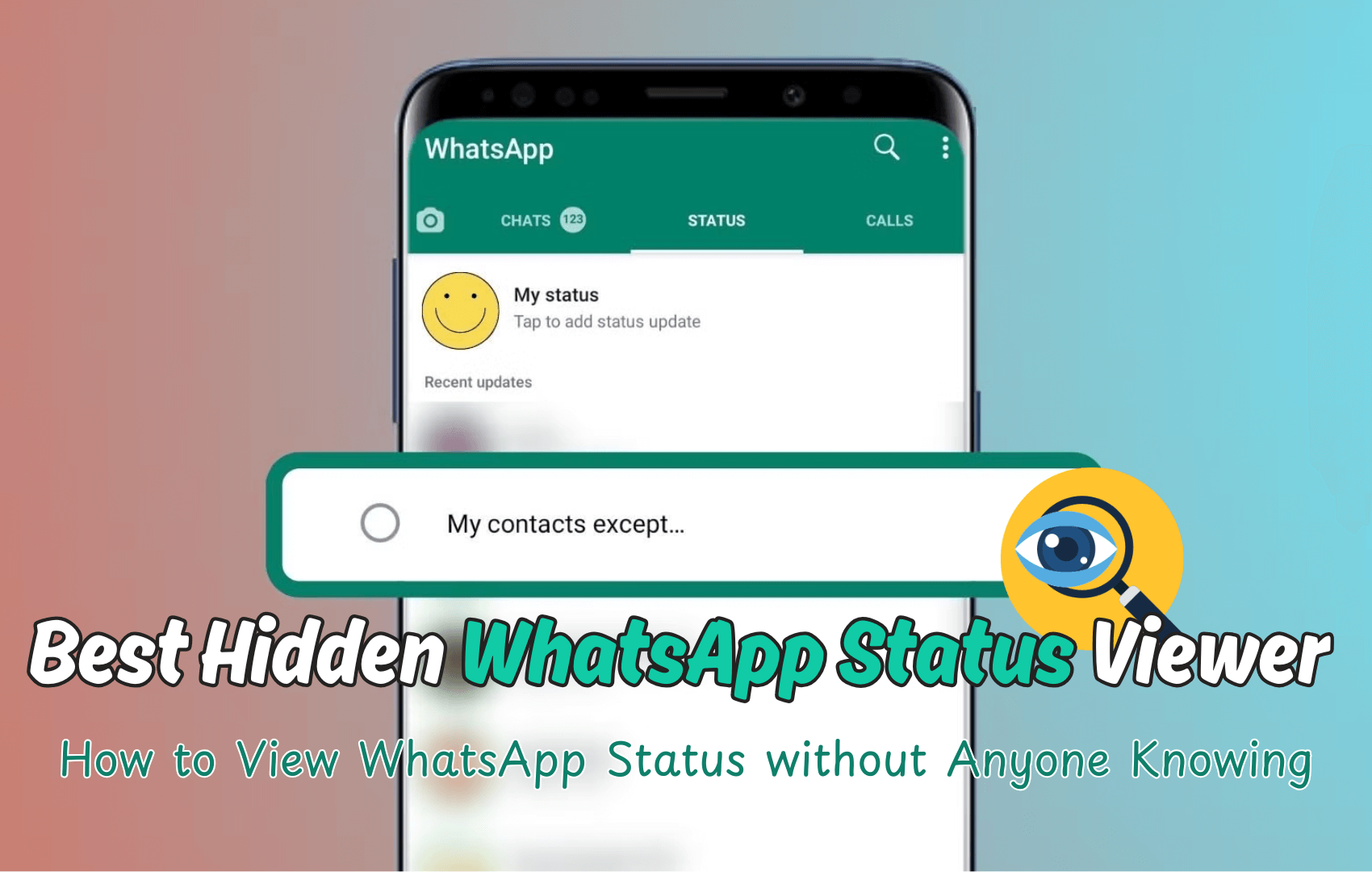 best hidden whatsapp status viewer